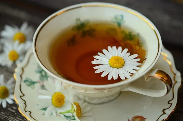 風水で観葉植物を置くときに絶対してはいけない5つの間違い