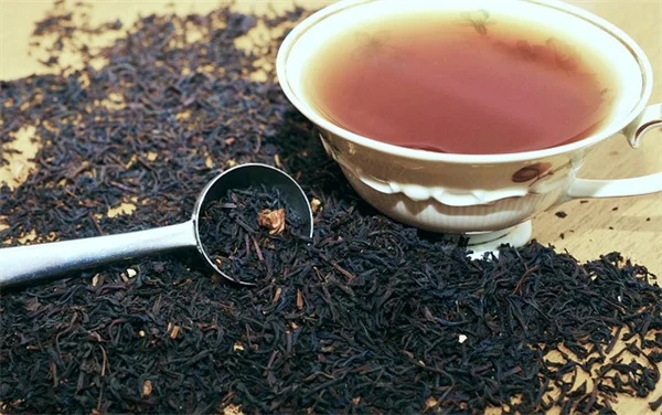 養鶏で庭の害虫対策！実践者が教える効果と注意点