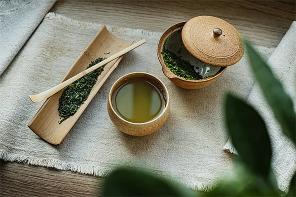 あなたの脳を活性化する5つの植物