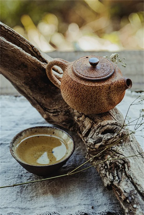 バレンタインデー 観葉植物10選【長く愛を伝えるロマンチックな選び方】