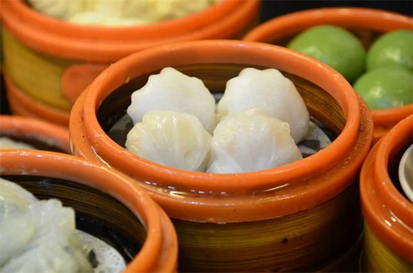 冬野菜栽培の極意：おすすめ品種と比較表で失敗しない育て方